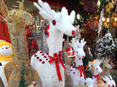 韓国の流行語アン🐰ネイティブ韓国語講師note