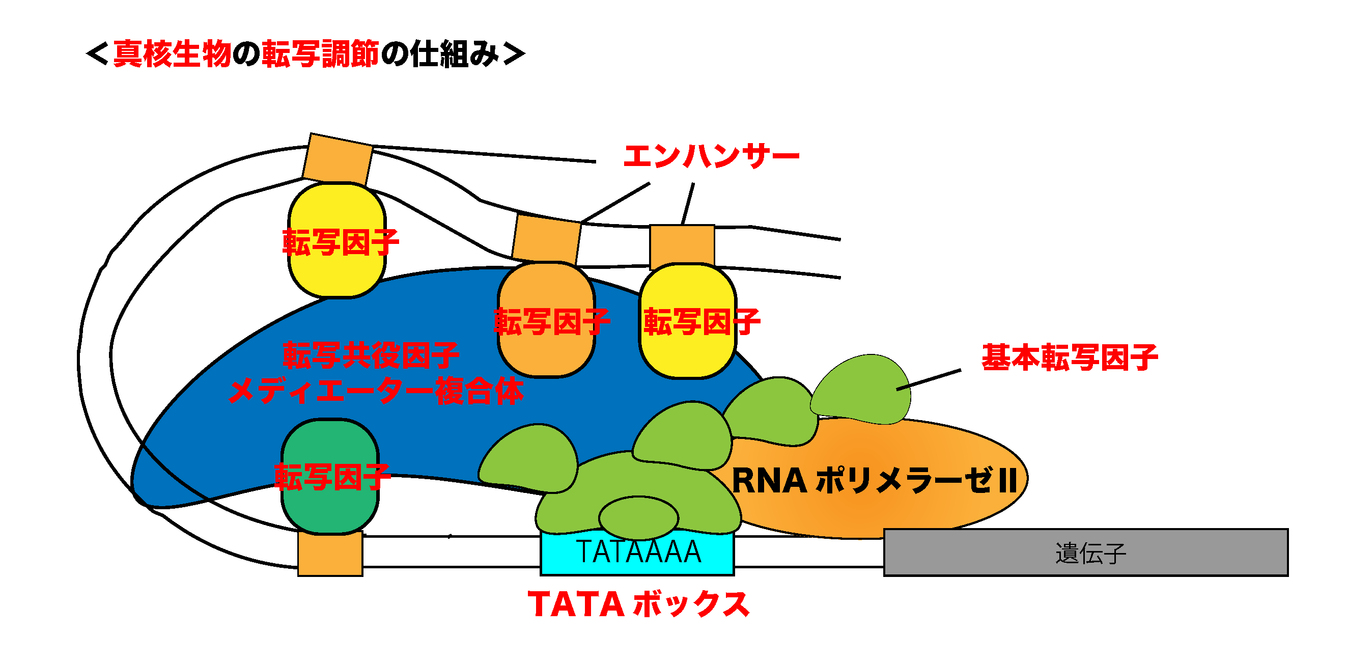 核融合発電の国際プロジェクト「ITER イーター 」とタングステンの役割プリント基板加工用ドリルとタングステンカーバイドの役割