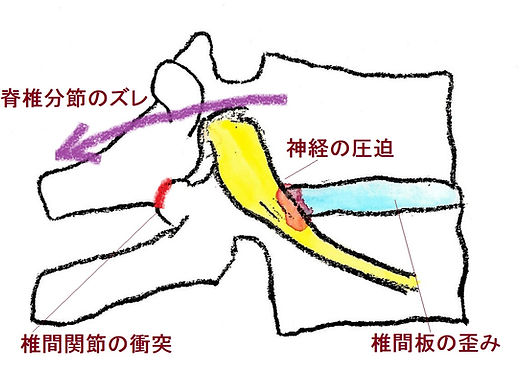 医師推薦｜庵原崇カイロプラクティック｜名古屋駅徒歩2分