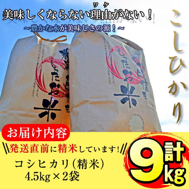 デカ盛りチャーハン1.4kg！ 川崎市『長崎ちゃんぽん（道生）』で「チャーハン大盛り」に挑戦してみた –