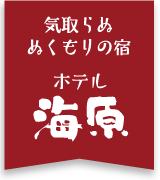 あつ美や マリンパークホテル＜篠島＞の施設情報【HIS旅プロ｜国内旅行ホテル最安値予約】