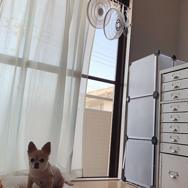 これが100円!?」と驚く優れもの！ダイソーの「組み立てラック」シリーズサンキュ