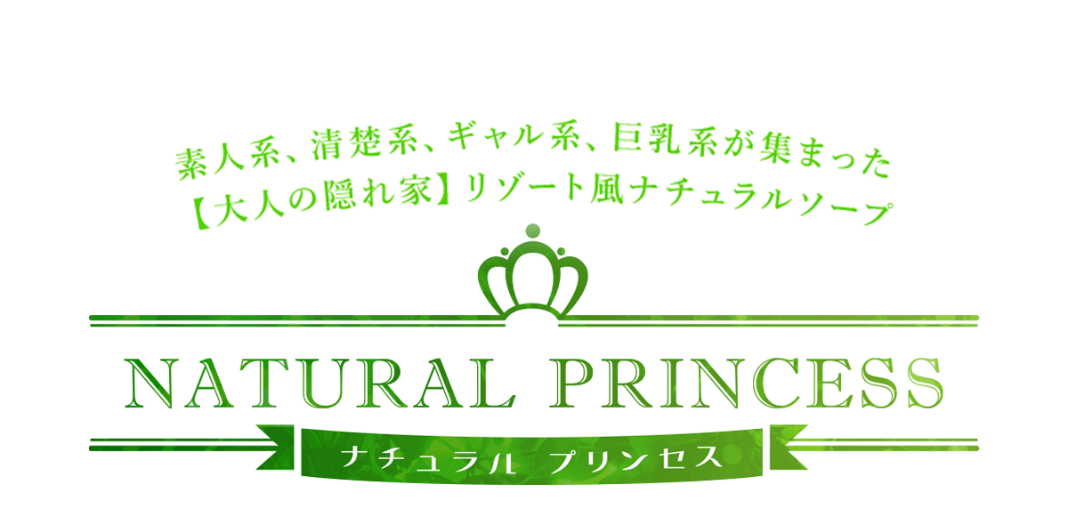 料金別全店リスト～川崎ソープ徹底攻略～