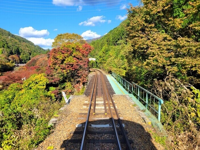 トロッコ列車で紅葉を見よう！ 群馬「わたらせ渓谷鐵道」を紹介。乗り方、紅葉の見頃、バスツアー情報も |