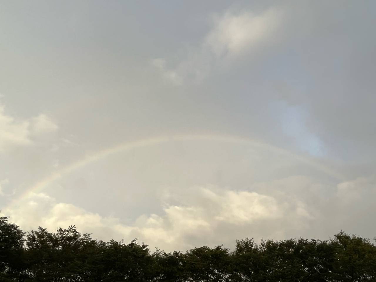 朝虹・ダブルレインボー 注目の空の写真 ウェザーニュース