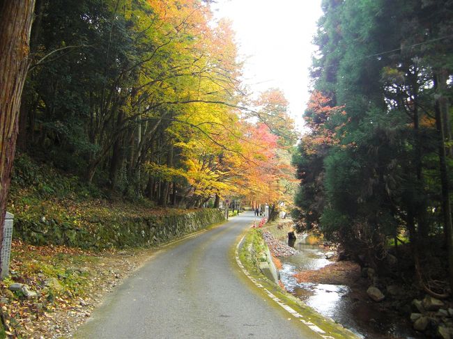 佛通寺の紅葉見頃・天気情報 2025 - 日本気象協会 tenki.jp