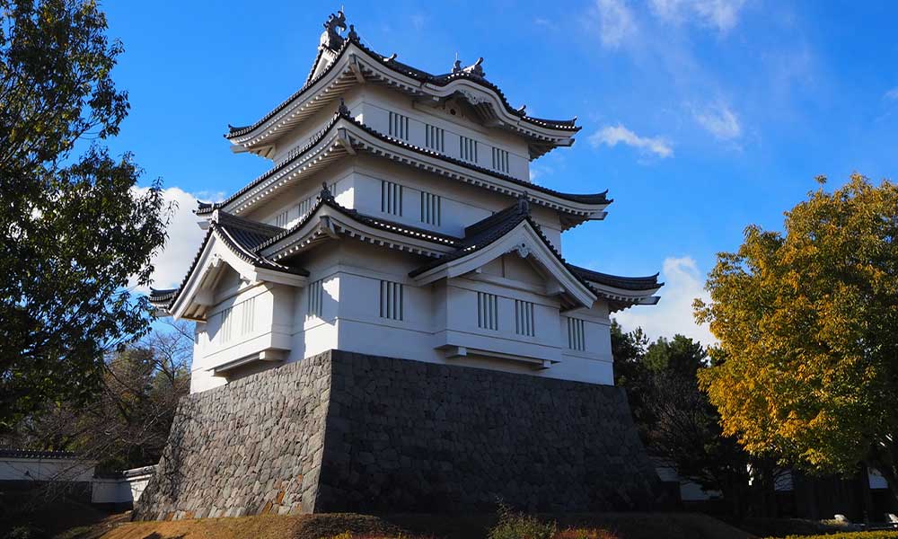 行田市が田んぼアートの見頃を宣言 「翔んで埼玉」デザイン、鮮明に - 熊谷経済新聞