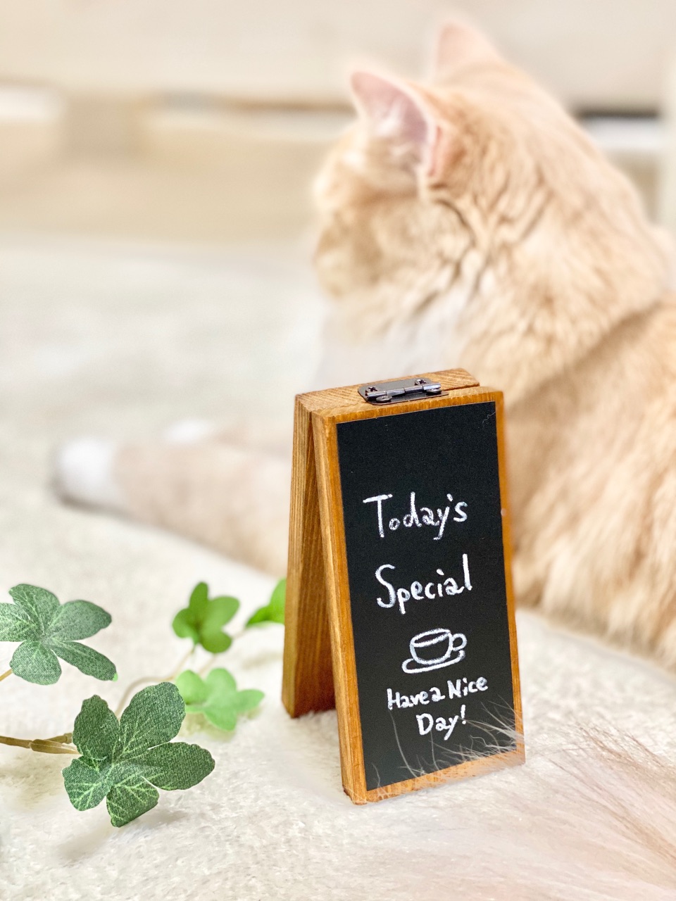 かまぼこ板のインテリア実例RoomClip ルームクリップ