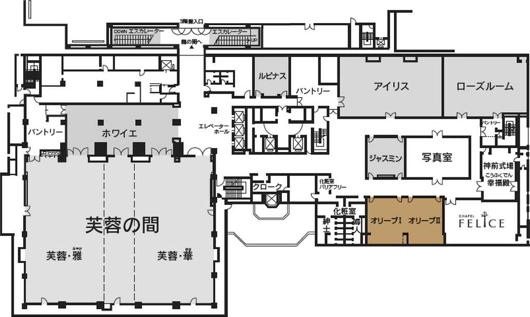 2024年秋冬】ブリーチオンカラー,オリーブベージュ[博多,博多駅,博多,博多]のヘアスタイル｜BIGLOBE Beauty