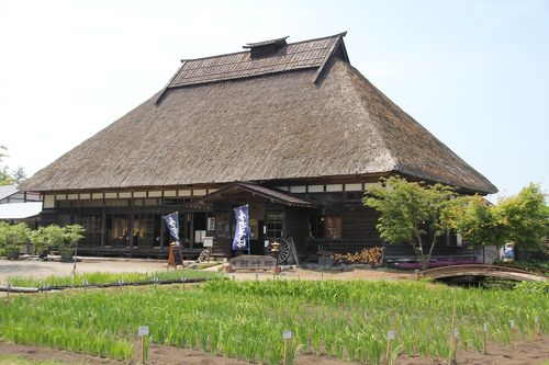 限定品『ちこりコーヒークッキー』や、十和田のお土産品たくさん揃えています！ | 産直ごーごー｜青森県 産直（産地直売所）情報満載!!