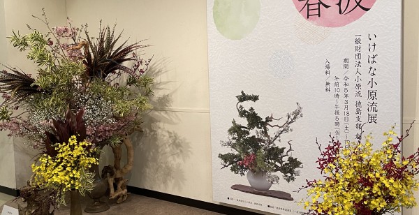 那須 長楽寺猫のお出迎え～那須 長楽寺～栃木県・那須・板室・黒磯の観光・その他