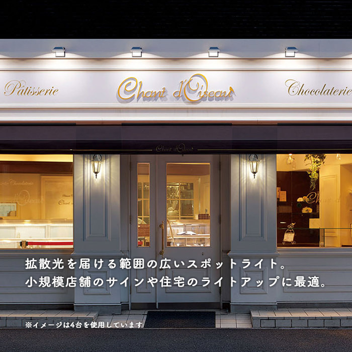 看板照明 屋外 LED 外照式 看板灯 アドビューC W600 昼光色6500K ブラック タテヤマ