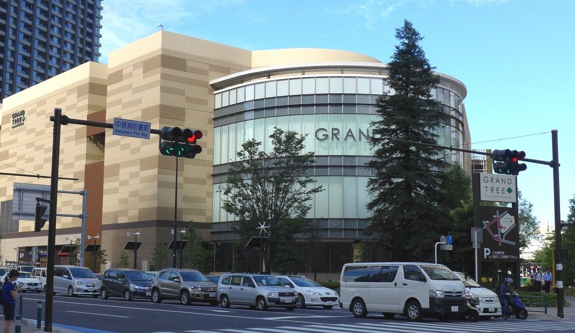 武蔵小杉駅 横須賀線だけ異様に混む⁉️ 圧倒的な乗車率で混雑不可避 通勤ラッシュ 横須賀線 混雑 満員電車 rush hour YokosukaLine満員電車- YouTube