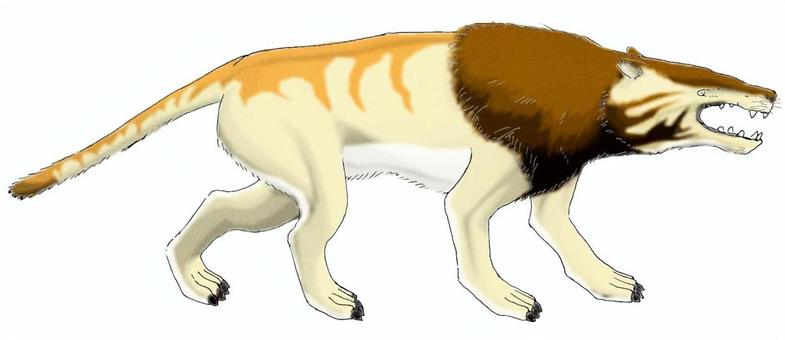 陸から海への回帰～クジラの祖先 : 蜜蜂的写真日記