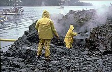 記事 ラッコと原油流出：エクソン・バルディーズ号原油流出事故から25年The Exxon Valdez Oil Spill: 25 YearsAgo Today - らっこちゃんねるSea Otter Channel - ラッコ情報・記事・動画・写真をご紹介