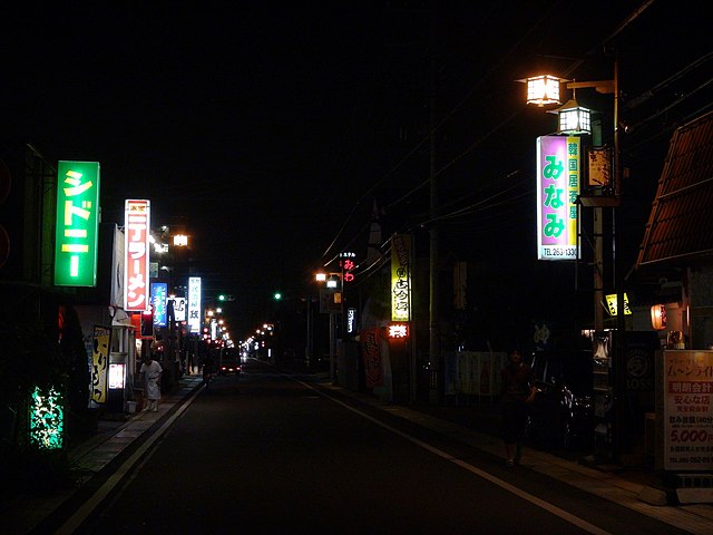 山梨県を代表する歓楽街「石和温泉」を50年以上見続けてきた元芸者のお母さん物語！ | 知の冒険