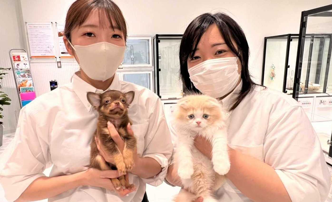 ペットショップで働くために絶対やるべきことは？現役ペットショップ店長が