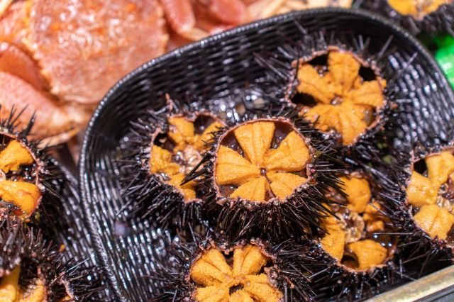 海産物の押し売り』が急増「コロナの影響で 」と泣き落としも 届いた品に鮮魚プロは「これはめちゃめちゃ」北海道の業者を直撃すると特集MBSニュース