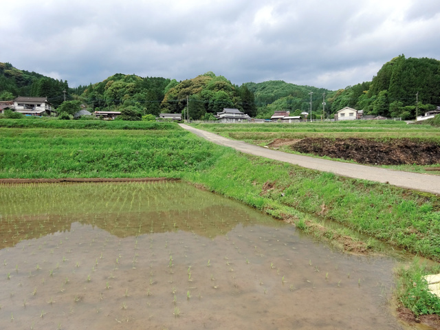 村八分礫川 全次 本通販Amazon