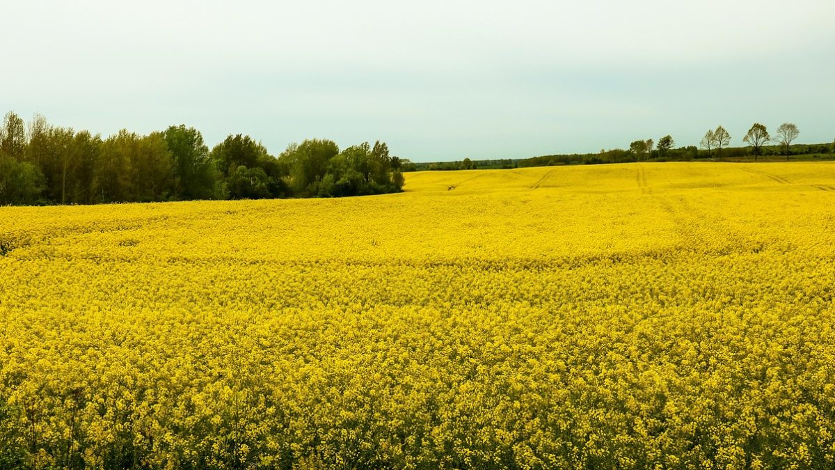 サインランプ ネオンサイン「Welcome To Our Happy Place」LEDネオンサイン背景幕 屋内 ビジネス ショップAmazon.co.jp: Welcome To The Good Lifeネオンサイン ledネオン看板 英語ネオン管インテリア 調光可能ウォール装飾ライト ベッドルーム キッズルーム 誕生日