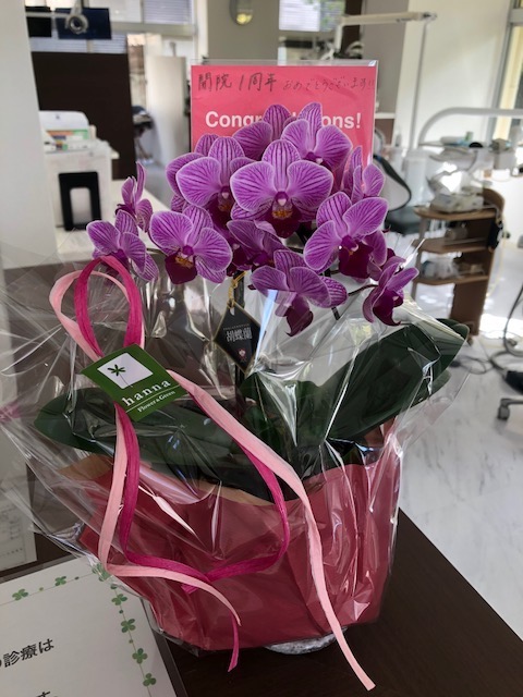 リニューアルオープン３周年⭐️菅田歯科医院からのお知らせ