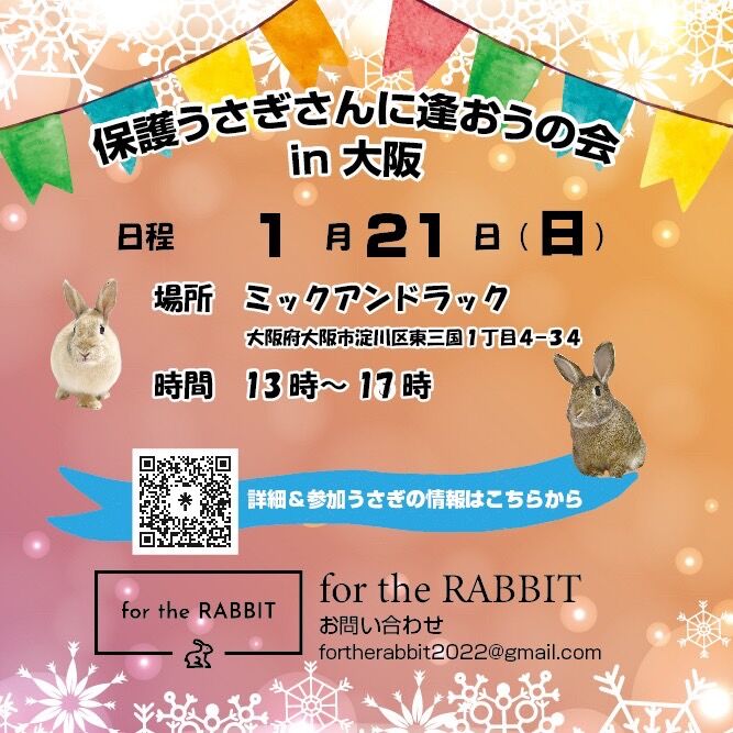 大阪市都島区】11月１日、都島駅近くに、おばんざい割烹「三月のうさぎ」がオープンします！ | 号外NET 都島区・旭区