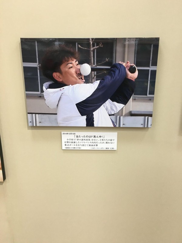 ど真ん中に当たった矢の写真・画像素材-Snapmart スナップマート