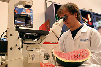 ニナファームChance