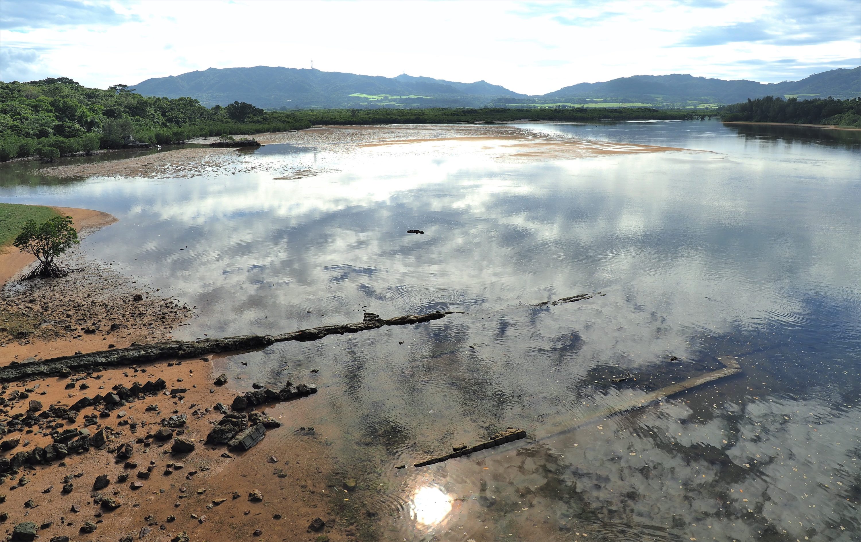 名蔵アンパル 名蔵川とマングローブ林 石垣島 25516048635 の写真・イラスト素材アマナイメージズ