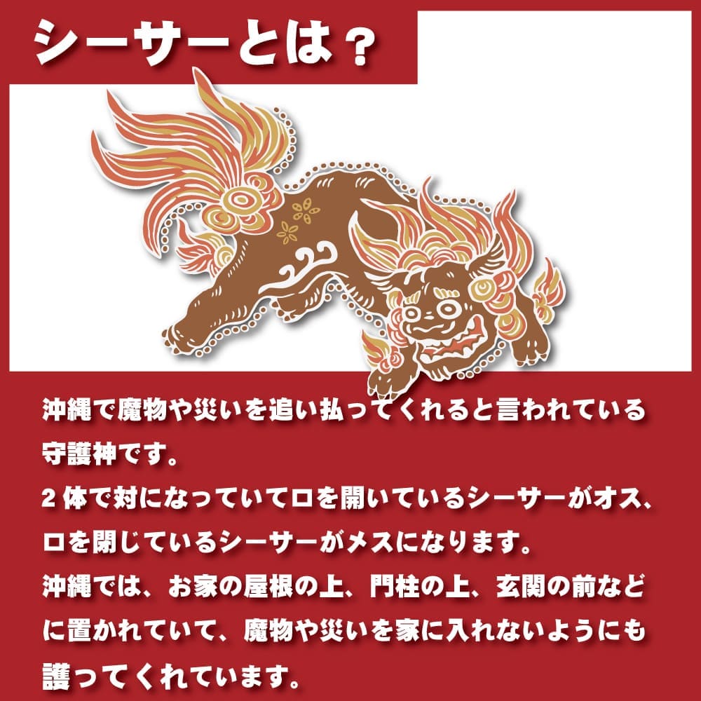 インタビューCover ArtistSaucy Dog -後編- - FenderNews