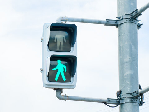 横断歩道で点滅「ありがとう」増えた 豊田市、点滅式標識「ぴかっとわたるくん」増設へ：中日新聞Web