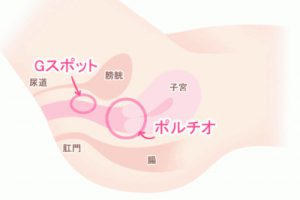 女性の性感帯と前戯の大切さ オーガズムを感じるために必要な前期 |