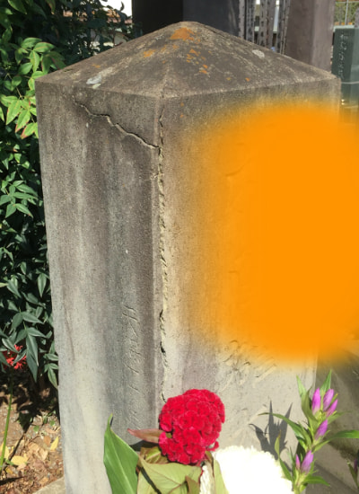 樹木葬のトラブル・後悔18選！実態と失敗しない対策法を解説霊園・墓地のことなら「いいお墓」