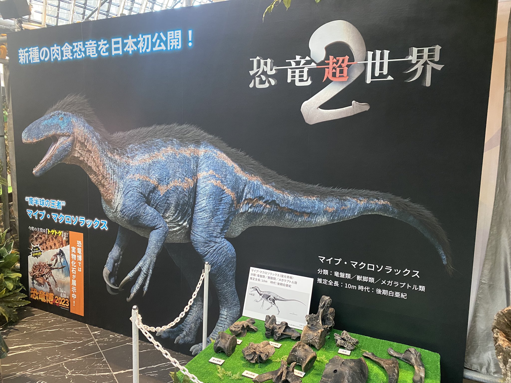 マイプ - Wikipedia