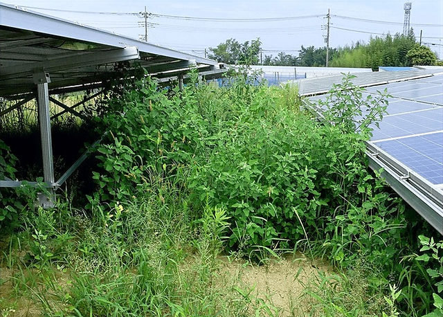 山梨県 Ｋ社様ネクストエナジー・アンド・リソース
