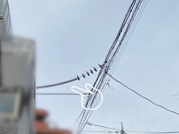 電線からの鳥糞被害ハウスドゥ 米子