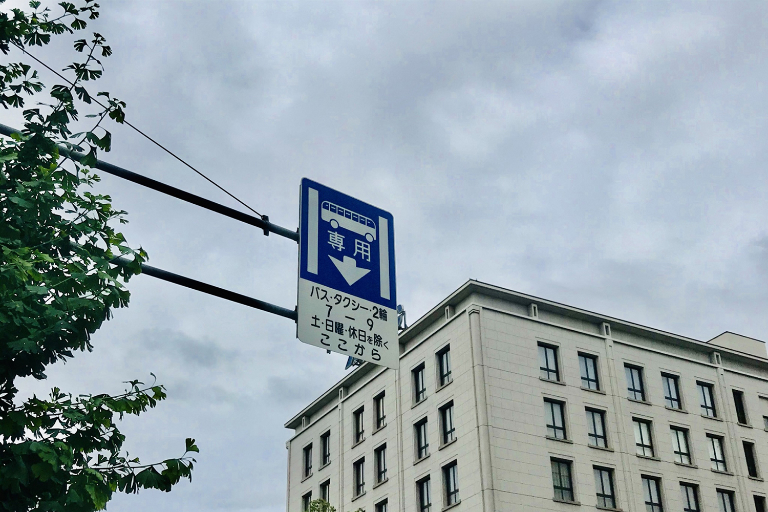 車両の種類 道路標識写真 補助標識 503-A