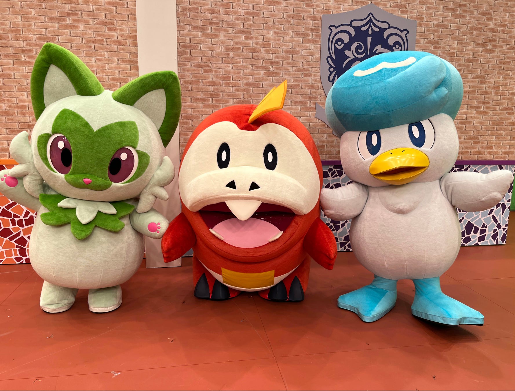 クワッスがついに進化！あれ 最終進化はまさか !?6 ポケモンSVポケットモンスター バイオレットぽんすけ