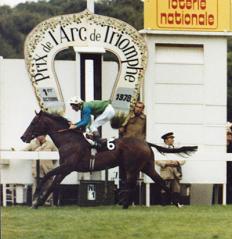 未来に語り継ぎたい名馬 JRAレーシングビュア