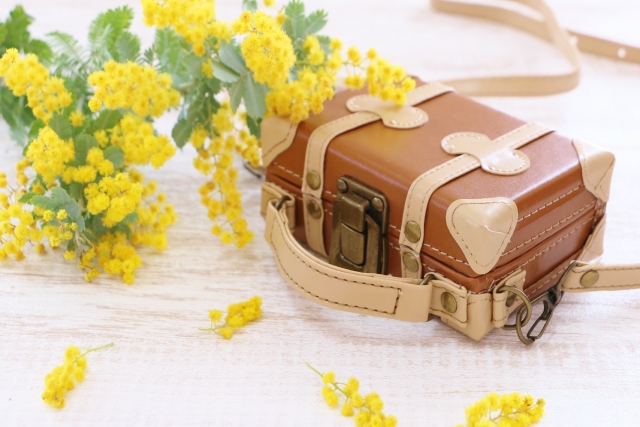 最新版！修学旅行の持ち物リスト！必須アイテムからあると便利なものまで 高校生なうスタディサプリ進路 高校生に関するニュースを配信