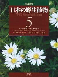 東大阪市】夏の花を楽しむ。アサガオの見頃はまだまだ続きます！（岡田智則） - エキスパート - Yahoo!ニュース