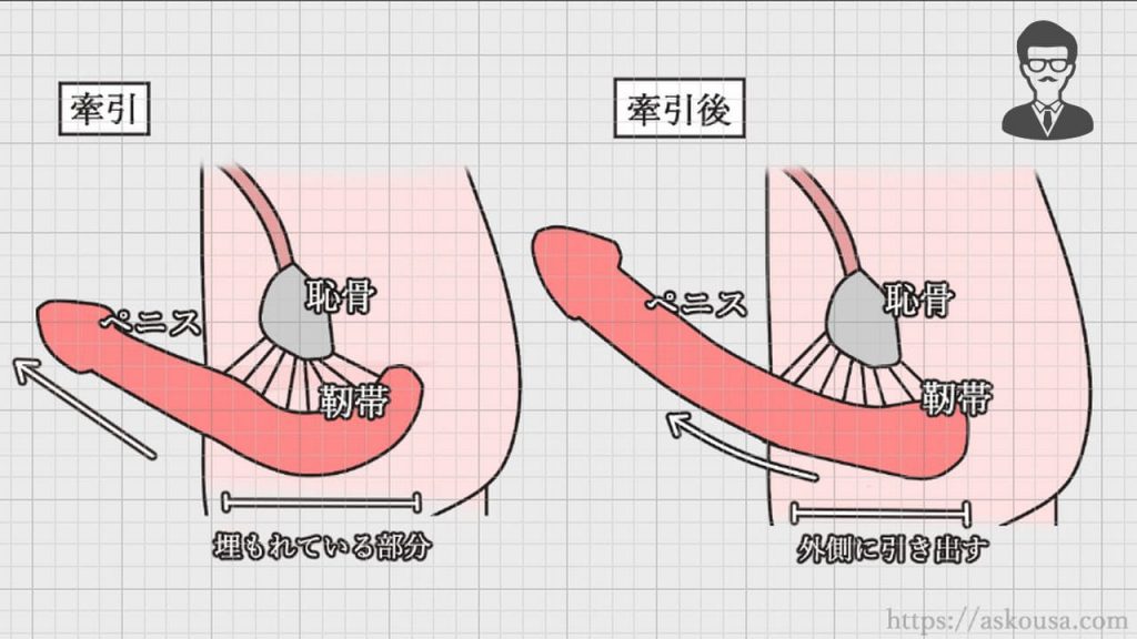 巨根サイズはどこから？】15cm以上、500円玉より太ければデカチンと言える｜あんしん通販コラム