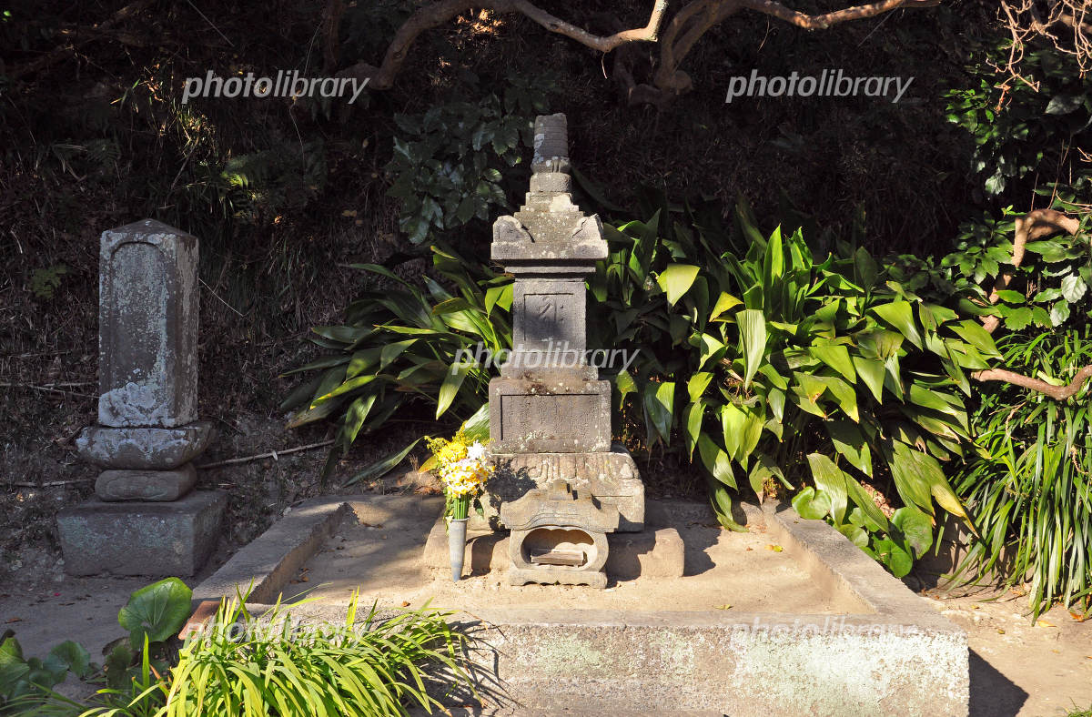 鎌倉殿ゆかりの地を巡って！北条政子の墓～銭洗弁財天青ちゃんのハッピー気分なブログ２ 青ブロ２