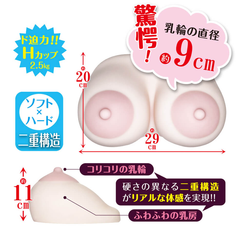 Amazon.co.jp: 人妻デカ乳輪爆乳５ eBook