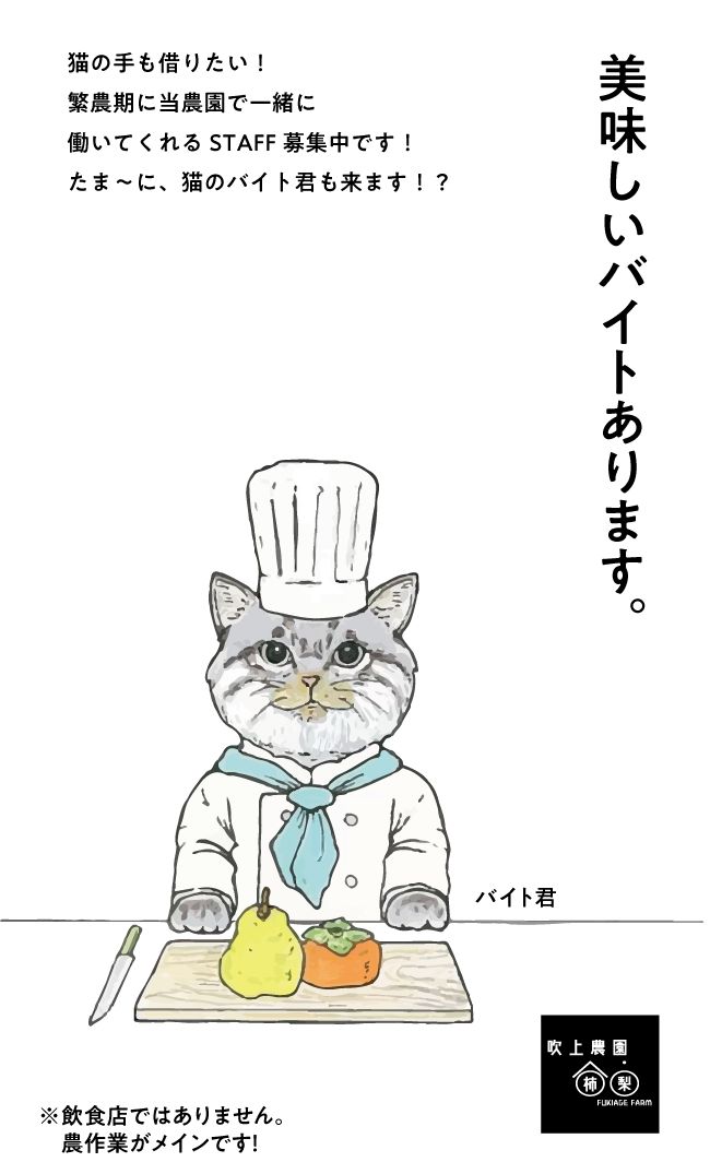 デザイナーから農業への転身。40歳を超えて見つけた自分らしい働き方DOMO＋ ドーモプラス