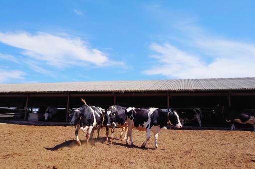 畜産のイラストNo04イラストポップ