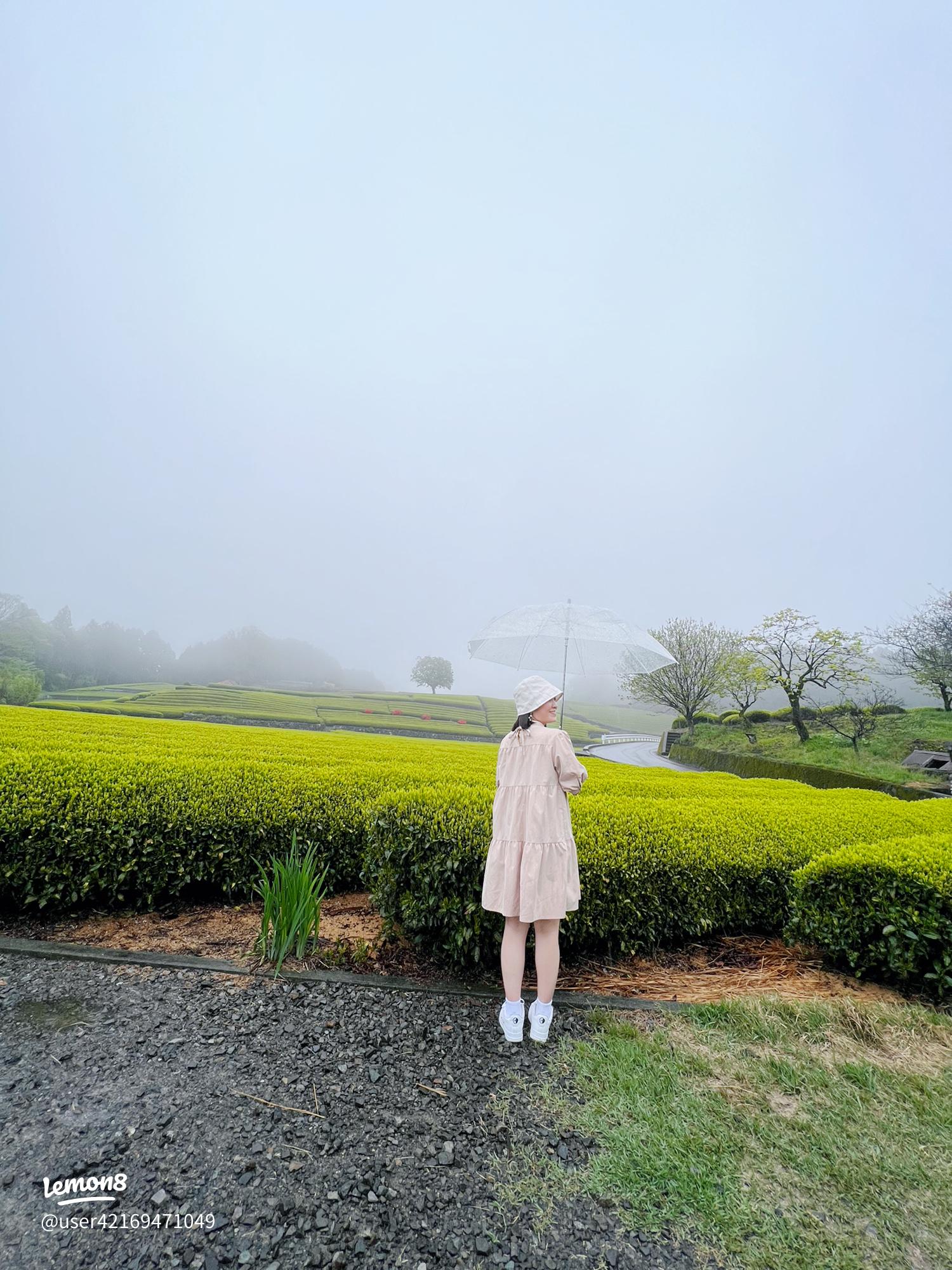 大淵笹場りえの独り言