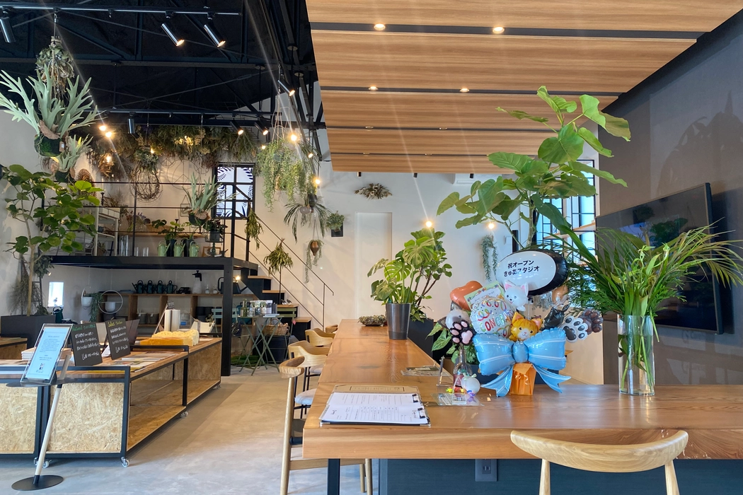 Amazon.co.jp:バンダイ BANDAIキミとアイドルプリキュア♪ プリキュアスタイル キュアキッス : 楽器・音響機器