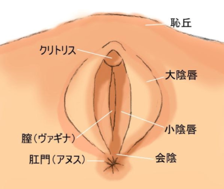 マンコをさらして息子の同級生を誘惑する母 出演 双葉みお