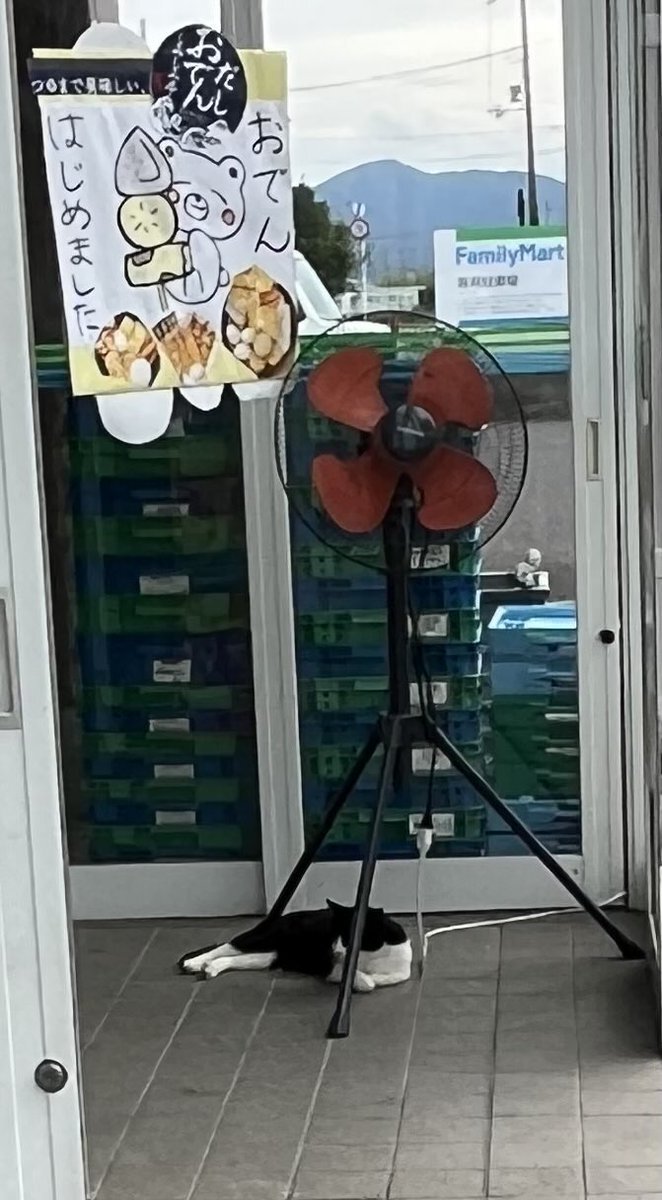 閲覧注意？業務用扇風機漂えど沈まず